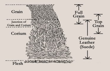leather-type
